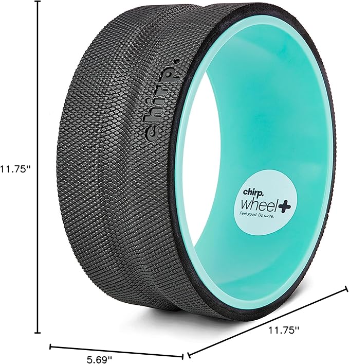 Chirp Wheel Foam Roller – Targeted Back & Neck Relief, Lumbar Spine Stretcher, Spinal Decompression Back Stretcher, Massage Roller with Density Foam for Physical Therapy, Supports 500lbs, 10-Inch Mint