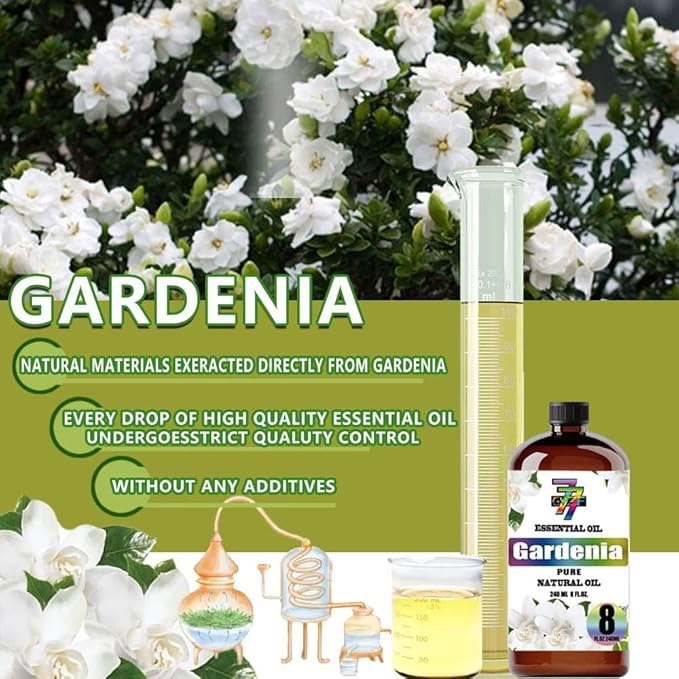 Gardenia Essential Oil (8 oz / 240 ml) – Gardenia Oils for diffusers, humidifiers, Home Baths, Cleaning Products, Yoga, DIY Soaps and DIY Scented Candles