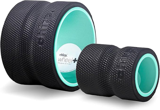 Chirp Wheel Foam Roller – Targeted Back & Neck Relief, Lumbar Spine Stretcher, Spinal Decompression Back Stretcher, Massage Roller with Density Foam for Physical Therapy, Supports 500lbs, 2-Pack Mint