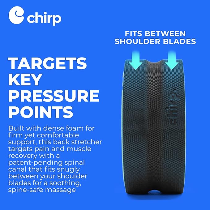 Chirp Wheel Foam Roller – Targeted Back & Neck Relief, Lumbar Spine Stretcher, Spinal Decompression Back Stretcher, Massage Roller with Density Foam for Physical Therapy, Supports 500lbs, 10-Inch Mint