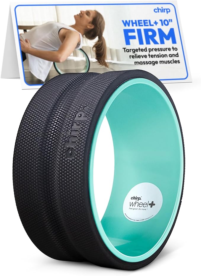 Chirp Wheel Foam Roller – Targeted Back & Neck Relief, Lumbar Spine Stretcher, Spinal Decompression Back Stretcher, Massage Roller with Density Foam for Physical Therapy, Supports 500lbs, 10-Inch Mint