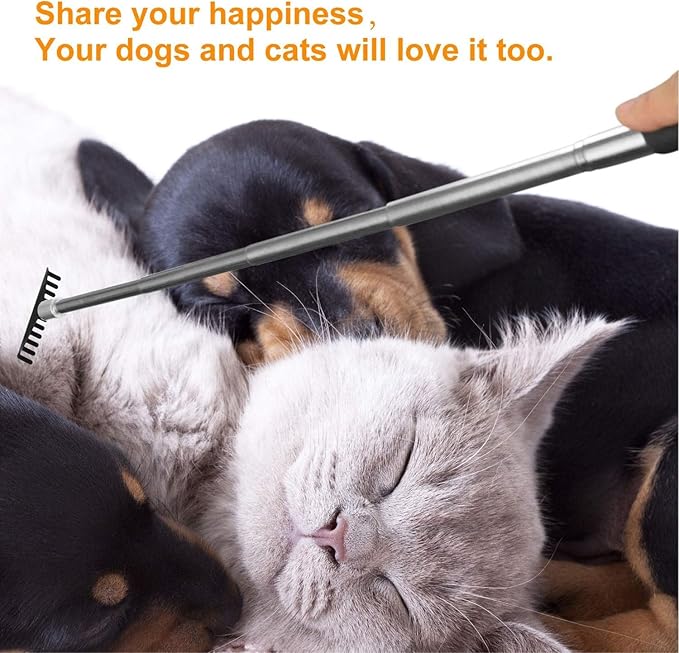 Oversized Back Scratcher Gift Set, 2 Pack, Portable Extendable Stainless Steel Telescoping Massage Tool, Gift/Stocking Stuffers for Men and Women