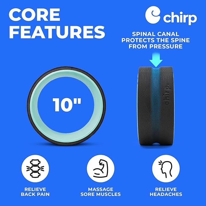 Chirp Wheel Foam Roller – Targeted Back & Neck Relief, Lumbar Spine Stretcher, Spinal Decompression Back Stretcher, Massage Roller with Density Foam for Physical Therapy, Supports 500lbs, 10-Inch Mint