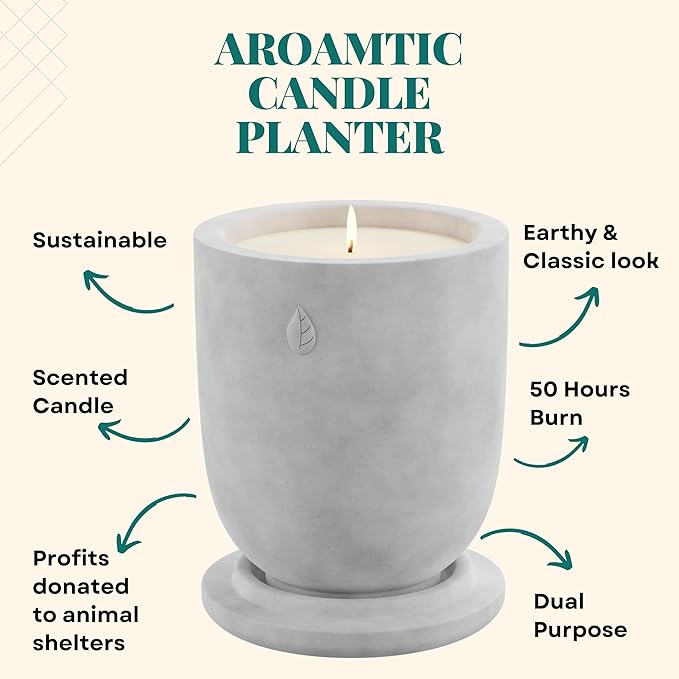 Matani Concrete Cement Candle Planter - Aromatherapy Soy, Dual Purpose Jar Gift (Black Sandalwood)