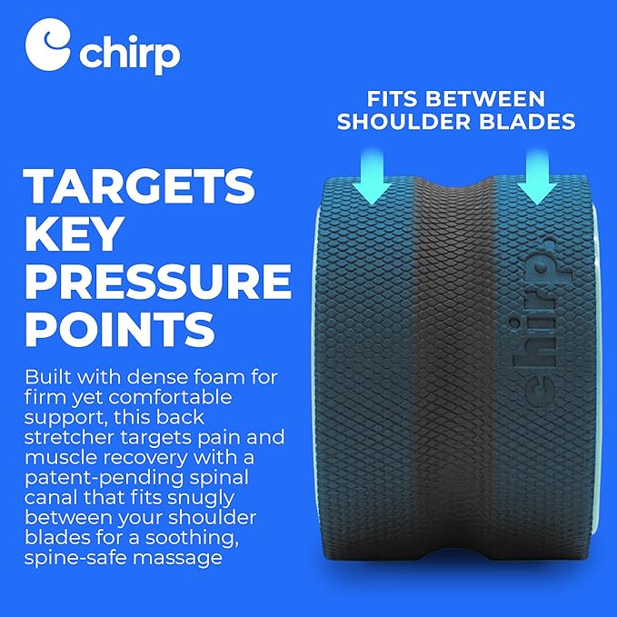 Chirp Wheel Foam Roller – Targeted Back & Neck Relief, Lumbar Spine Stretcher, Spinal Decompression Back Stretcher, Massage Roller with Density Foam for Physical Therapy, Supports 500lbs, 6-Inch Mint