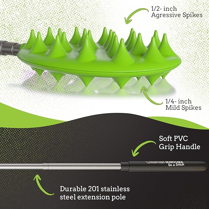 Cactus Scratcher Extendable Keychain Back Scratcher - 16" Long Stick Double Sided Retractable Scratching Tool for Hand, Neck, Head, and Body - Universal Gift for Family, Pets, and Friends, Green