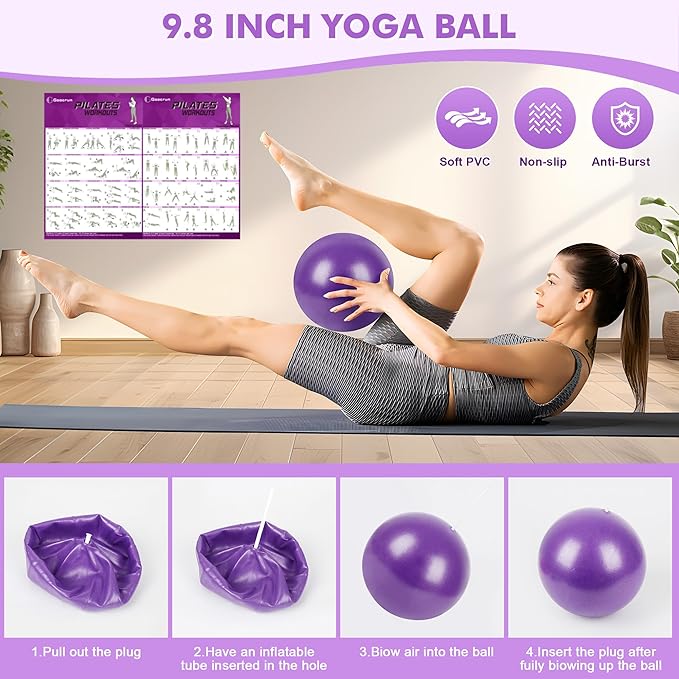 Pilates Ring Set with Resistance Bands Set, Pilates Ball, Sliding Disks – Workout Equipment Home Gym Includes Complete Fitness Poster