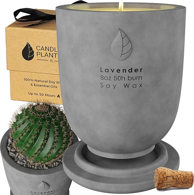 Matani Concrete Cement Candle Planter - Aromatherapy Soy, Dual Purpose Jar - Grey Lavender