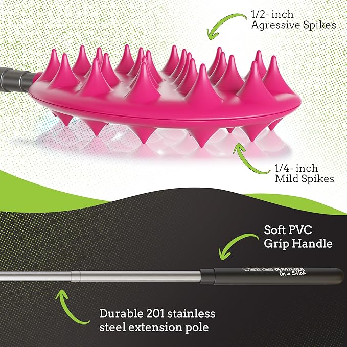 Cactus Scratcher Extendable Keychain Back Scratcher, Long Stick Double-Sided Itch Reliever for Back, Head & Body for Men & Women, Mother's Day Gifts, Extends Up to 16 Inches (Pink)